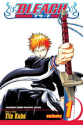 Bleach, Vol. 1 cover image