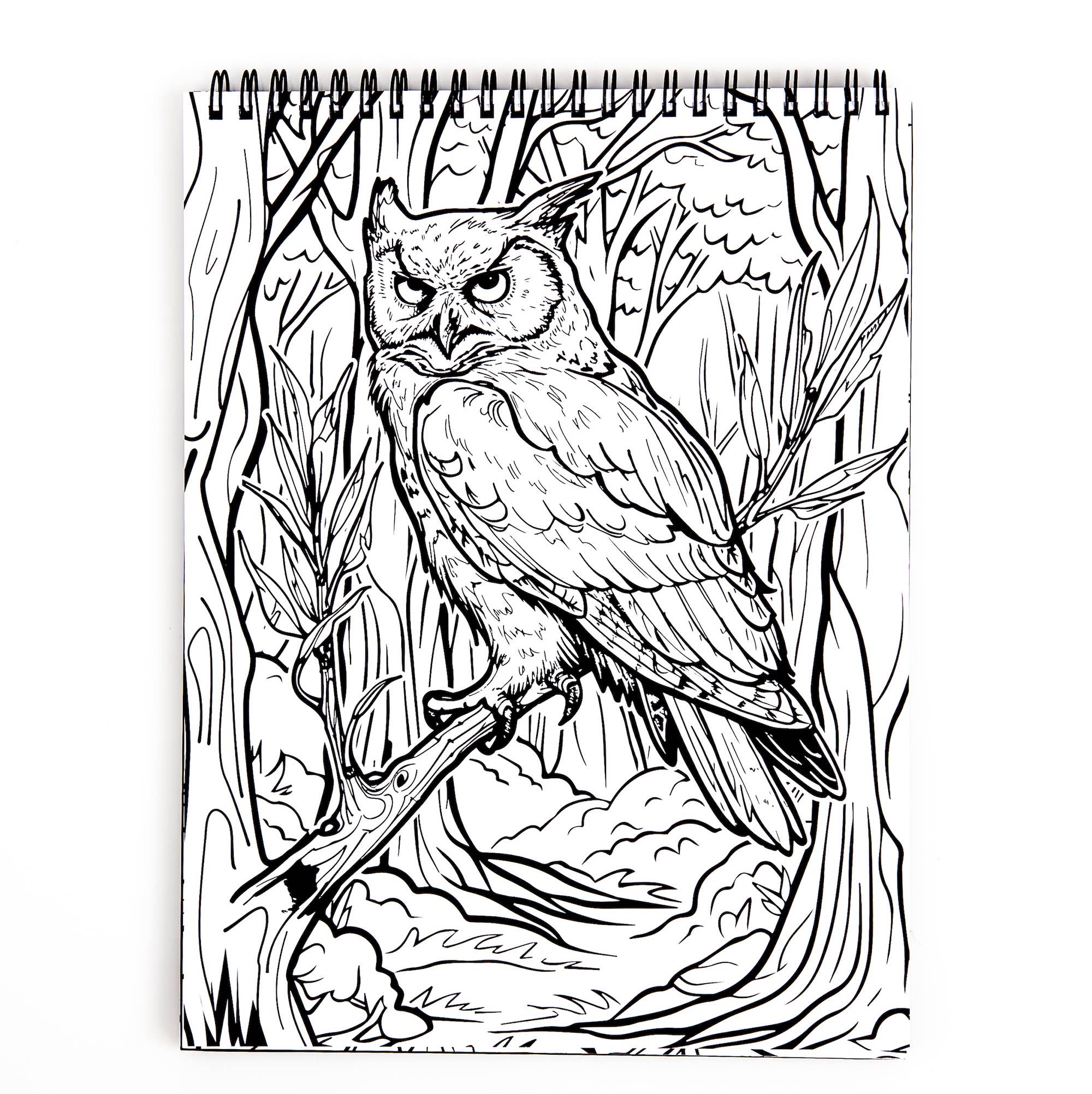 Waiting for the Night Coloring Book